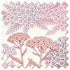 Yarrow, Cosmos - Roman Blind